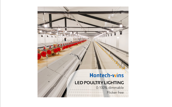 LED Lights Supplier for Poultry